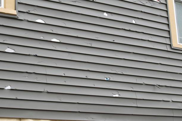 Best Same-Day Junk Removal Services  in Mehlville, MO