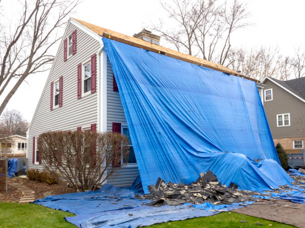 Best Shed Removal  in Mehlville, MO